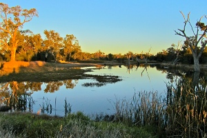 Tiger Bay Wildlife Refuge